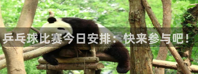 龙门镖局1.5在线观看免费完整版