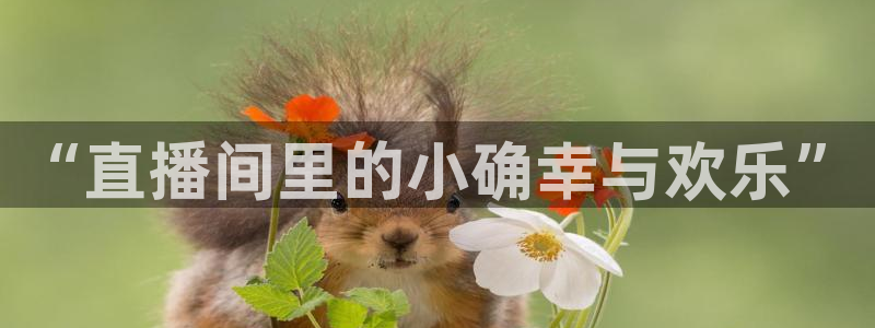 龙门直播