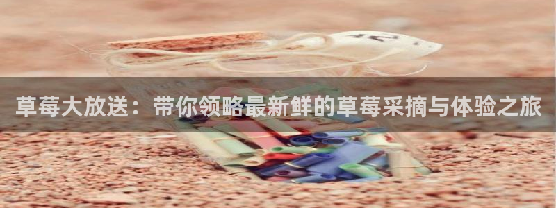 龙门体育直播在线观看