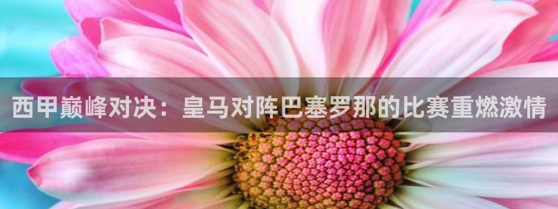 龙门飞甲粤语在线看：西甲巅峰对决：皇马对阵巴塞罗那的比赛重燃激情