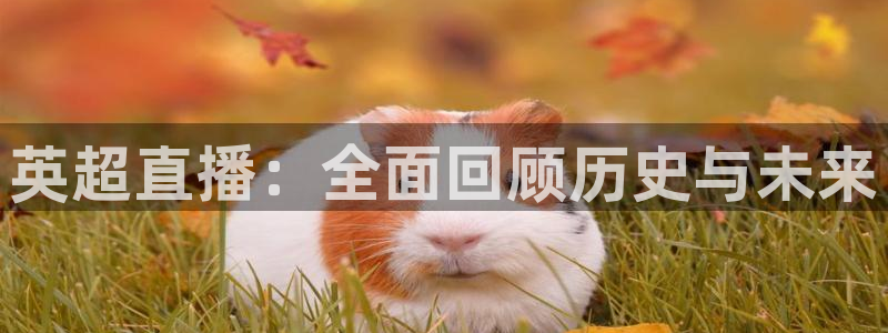 龙门体育直播在线观看：英超直播：全面回顾历史与未来