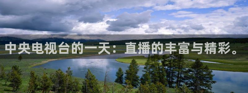 龙门免费直播平台：中央电视台的一天：直播的丰富与精彩。